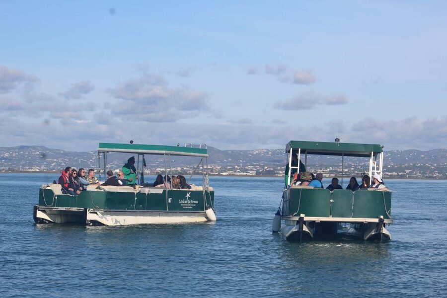 From Faro: 4 Stops, 3 Islands in Ria Formosa Catamaran Tour - What the Ria Formosa adds to a Faro boat trip
