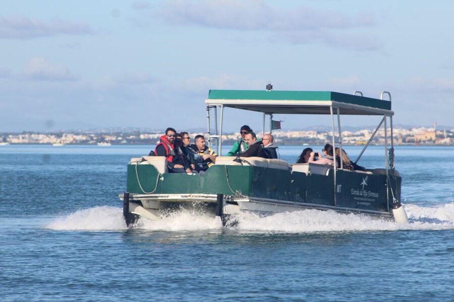 From Faro: 4 Stops, 3 Islands in Ria Formosa Catamaran Tour - Ilha do Farol: lighthouse views and a different island rhythm