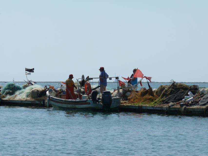From Faro: 4 Stops, 3 Islands in Ria Formosa Catamaran Tour - How good is the $47 value?