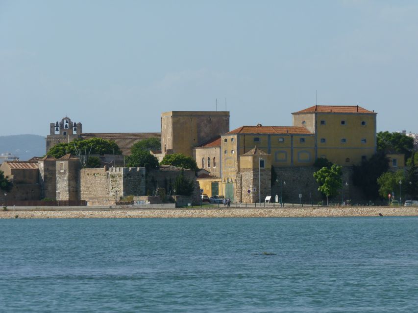 From Faro: 4 Stops, 3 Islands in Ria Formosa Catamaran Tour - Ilha Deserta: 45 minutes for sand, water, and silence