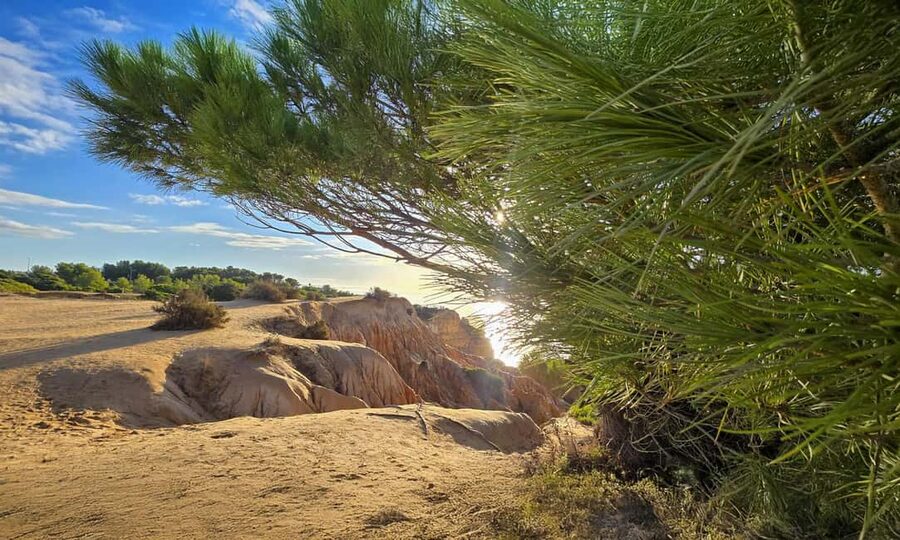 From Faro: 7 Valleys Hiking, Benagil Cave, & Snorkeling Tour - What $57 buys you