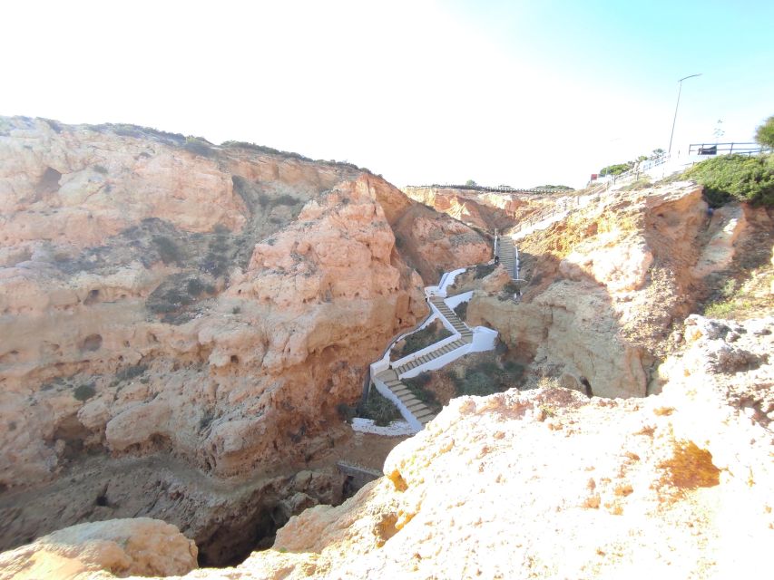 From Faro: Benagil Cave, Marinha & Carvoeiro Full-Day Tour - Who should book this day out