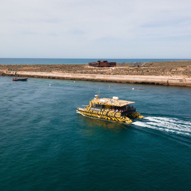 From Faro: Catamaran Boat Trip to Deserta Island with Stop - Starting at Faro’s Porta Nova pier