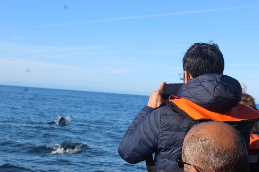 From Faro: Dolphin Watching & 2 Islands Tour - Who will enjoy this Faro boat trip?
