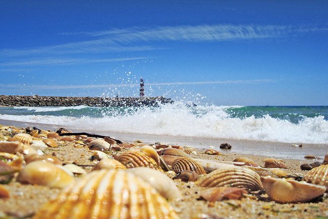From Faro: Ria Formosa Eco Tour guided by Marine Biologist - Why Ria Formosa is the real attraction