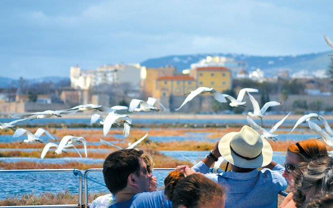 From Faro: Ria Formosa Eco Tour guided by Marine Biologist - Is $54.31 a fair price?