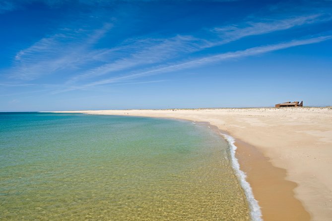 From Faro: Ria Formosa Eco Tour guided by Marine Biologist - Who will enjoy this outing most?