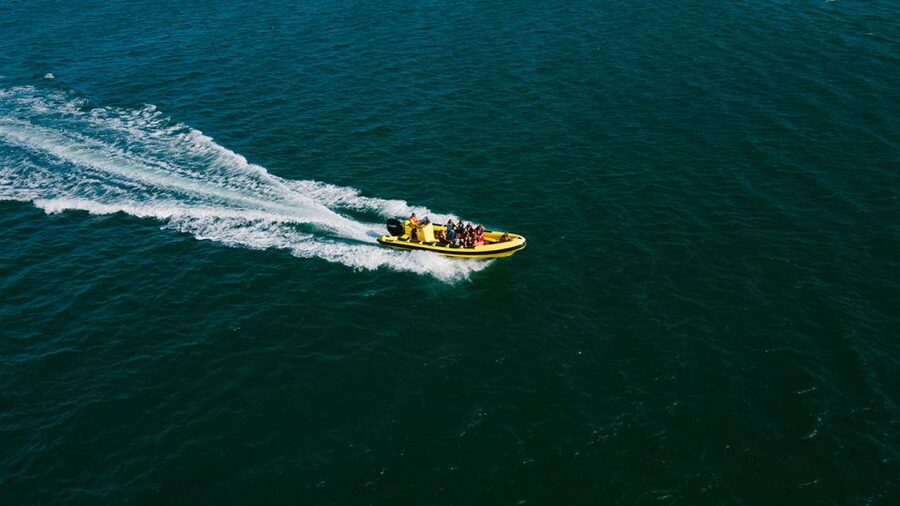 From Faro: Ria Formosa Hop-On Hop-Off 3 Islands Cruise - Farol Island, lighthouse views, and beach bars
