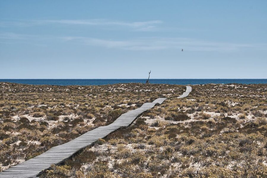 From Faro: Ria Formosa Hop-On Hop-Off 3 Islands Cruise - Should you book the Ria Formosa island cruise?