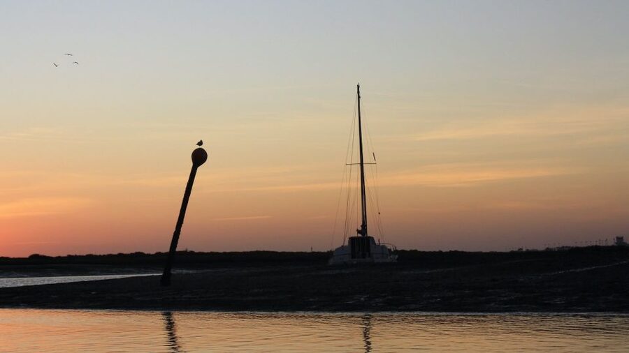 From Faro: Ria Formosa Sunset Boat Trip - Who Will Enjoy This Faro Boat Trip?