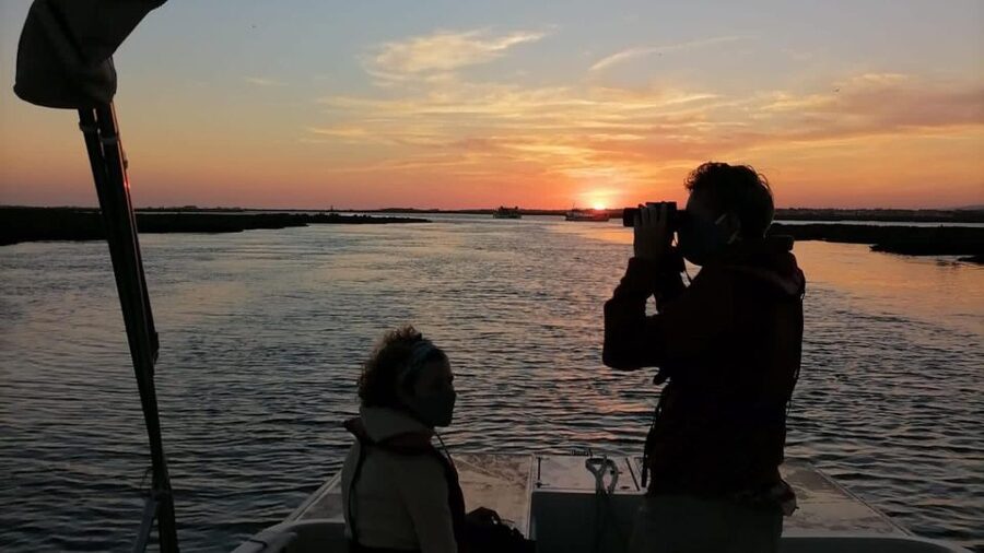 From Faro: Ria Formosa Sunset Boat Trip - Practical Tips Before You Board