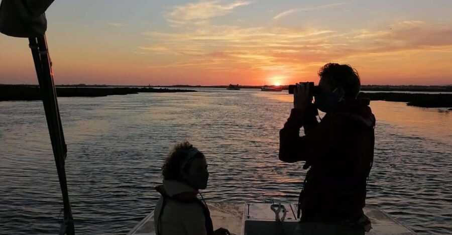 From Faro: Ria Formosa Sunset Boat Trip - Wildlife Beyond the Sunset