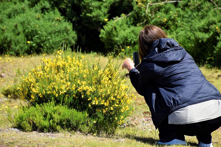 From Funchal: 2-Day Guided Tour of Madeira - What the guides add to the experience