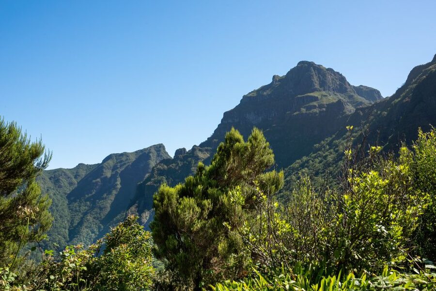From Funchal: Best of Madeira's West Tour - Porto Moniz gives the day its best pause