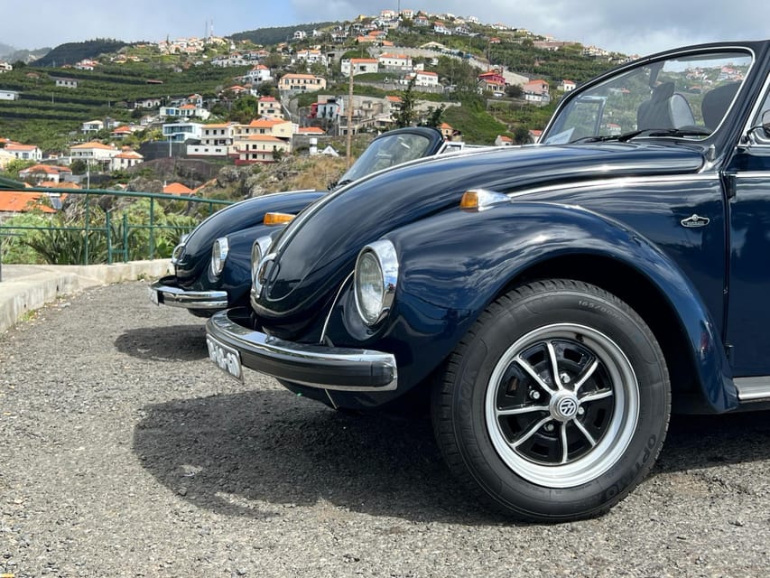 From Funchal: Cabo Girão & Poncha Tasting by Classic VW - What the guides add to the experience
