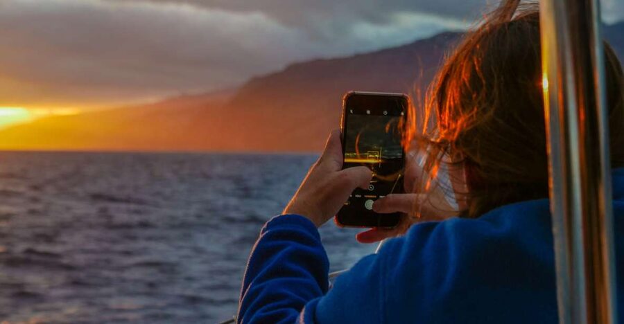 From Funchal: Cabo Girao Sunset Cruise on Luxury Catamaran - Searching for dolphins and whales