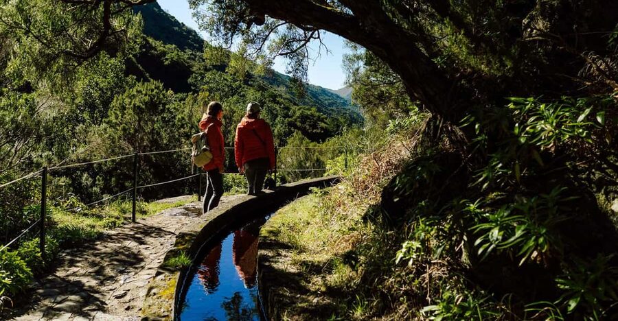 From Funchal/Caniço: Rabaçal Hike (25 Fontes) Bus Transfer - The one-hour ride to Rabaçal