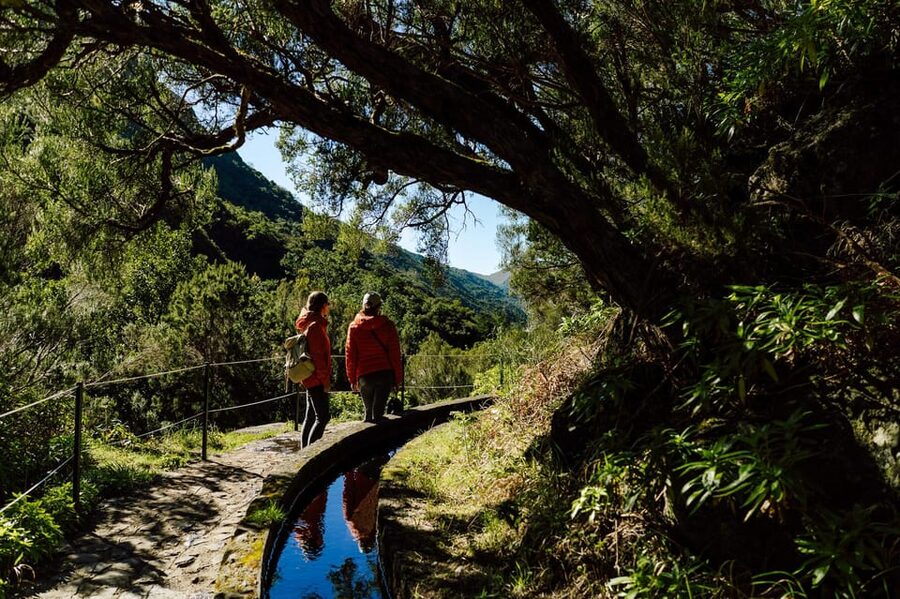From Funchal/Caniço: Rabaçal Hike (25 Fontes) Bus Transfer - What to pack for this particular hike
