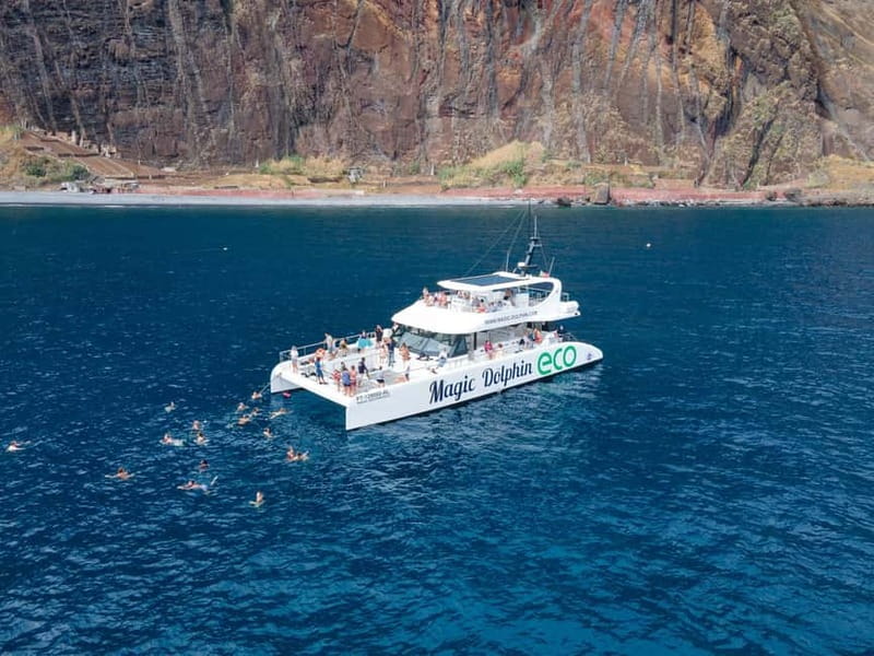 From Funchal: Ecological Catamaran Dolphin Whale Watching - Should You Book the Magic Dolphin Eco?