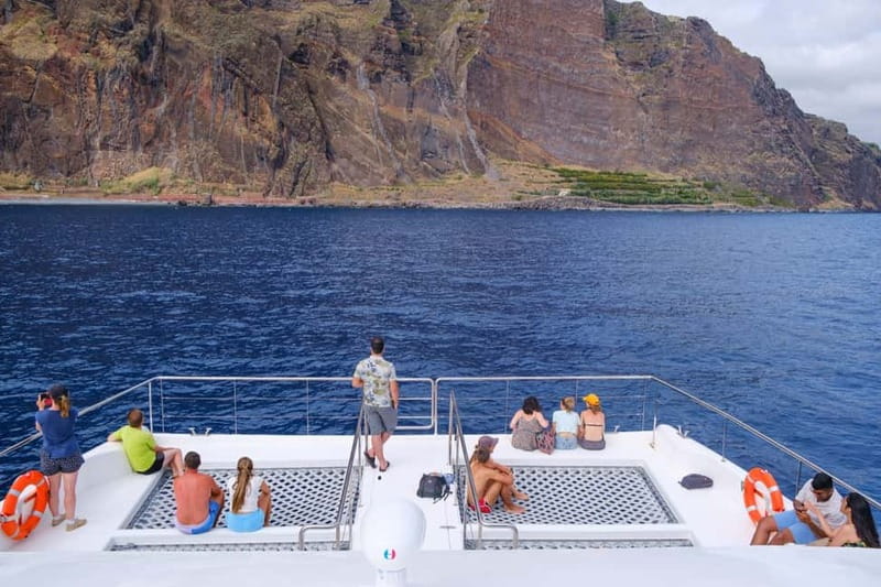 From Funchal: Ecological Catamaran Dolphin Whale Watching - Leaving Funchal Marina for the Search