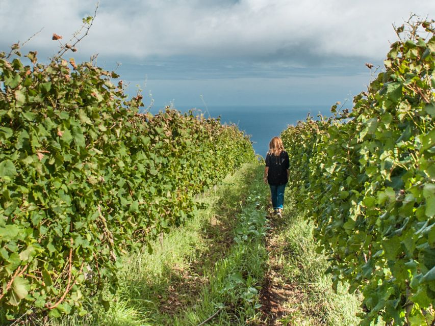 From Funchal: Full-Day Madeira Wine Tour with Lunch - Why this is more than a wine tasting in Funchal