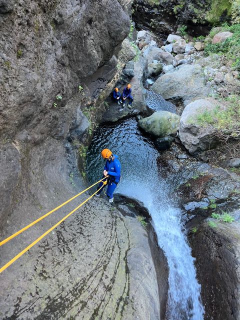 From Funchal: Intermediate Canyoning Adventure (Level 2) - What happens during the 2.5-hour canyon section