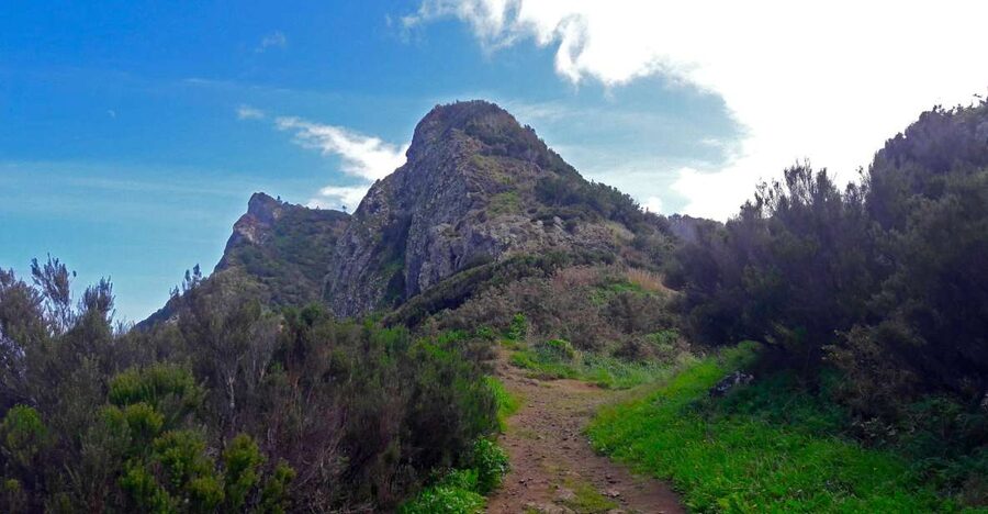 From Funchal: Machico to Porto da Cruz Larano Cliff Hike - Why the Machico to Porto da Cruz route works so well