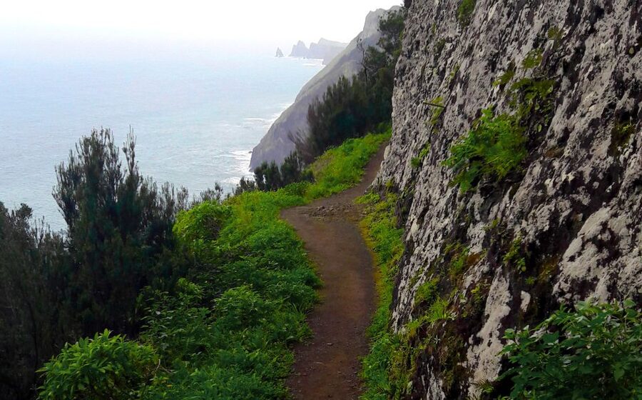 From Funchal: Machico to Porto da Cruz Larano Cliff Hike - Farms, levadas, and the first climb