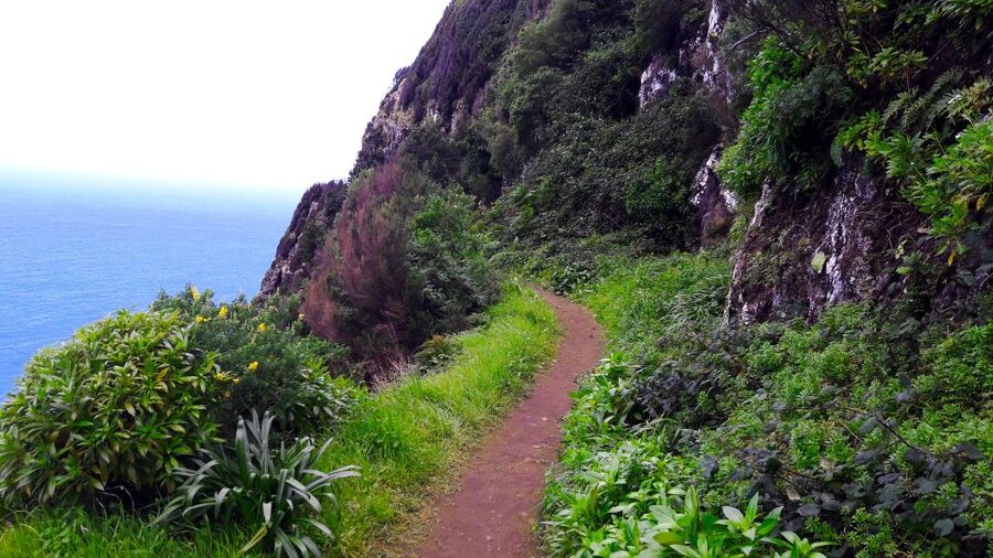 From Funchal: Machico to Porto da Cruz Larano Cliff Hike - Views toward São Lourenço and Porto Santo