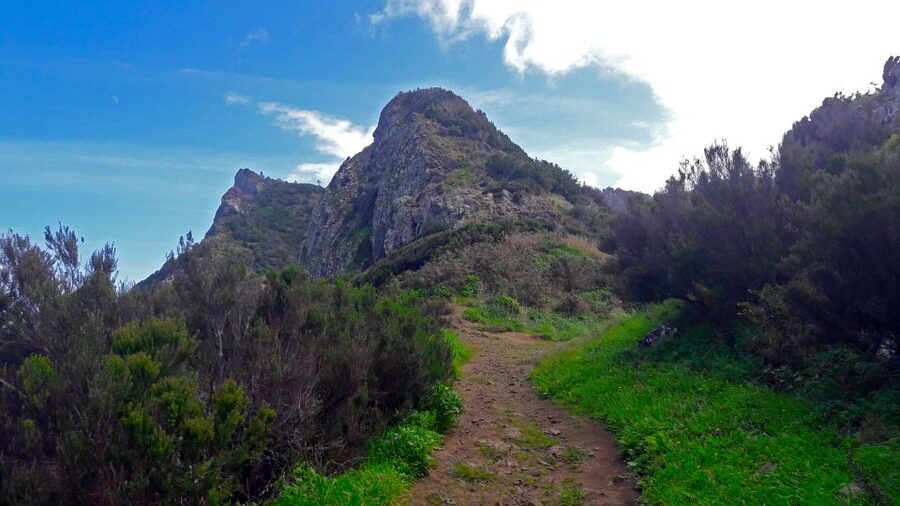 From Funchal: Machico to Porto da Cruz Larano Cliff Hike - Starting in Funchal and reaching Machico