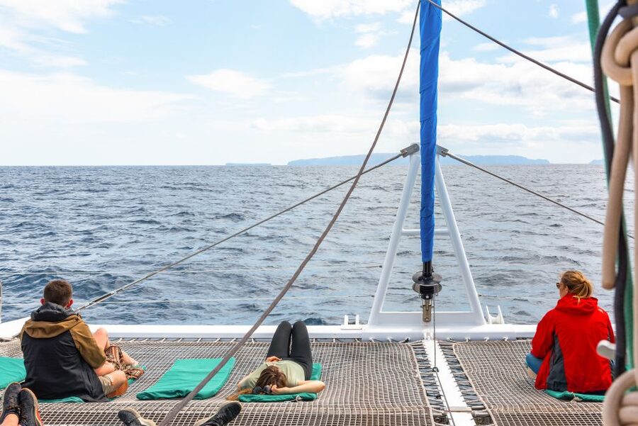 From Funchal: Madeira Dolphin and Whale Watching Tour - Should you book the Funchal dolphin and whale tour?