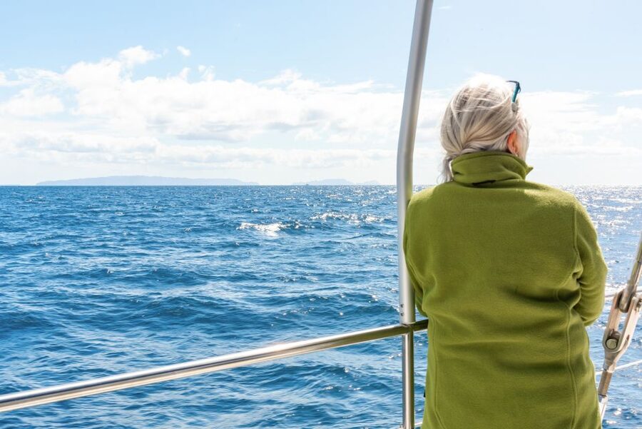 From Funchal: Madeira Dolphin and Whale Watching Tour - What happens if you see nothing