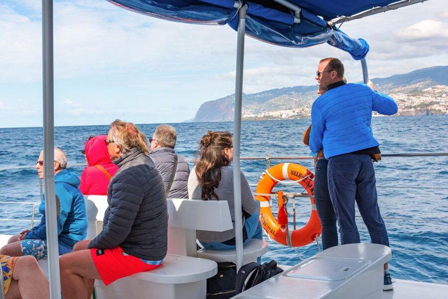 From Funchal: Madeira Dolphin and Whale Watching Tour - Value at $47 per person