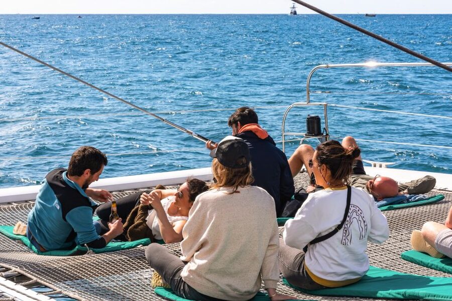 From Funchal: Madeira Dolphin and Whale Watching Tour - Who will enjoy this catamaran most