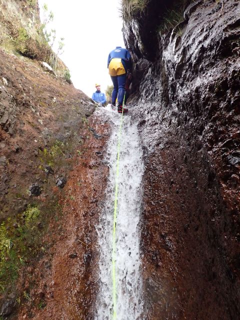 From Funchal: Madeira Island Canyoning for Beginners - What the Funchal canyoning morning is really like