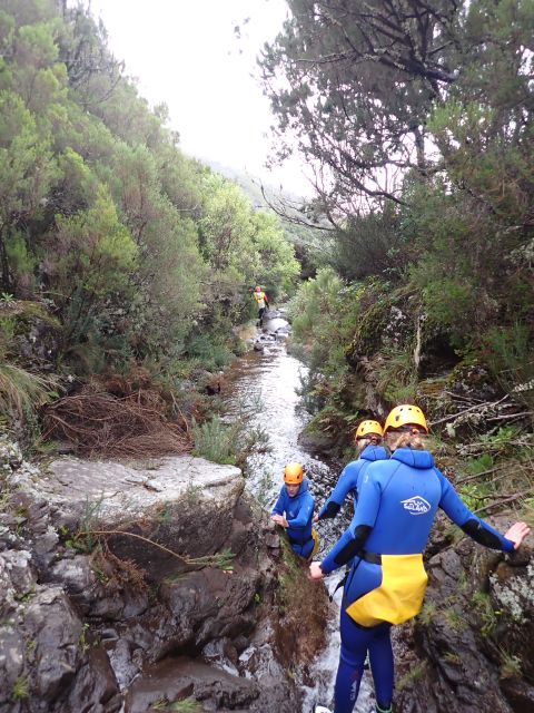 From Funchal: Madeira Island Canyoning for Beginners - Madeira seen from inside the canyon