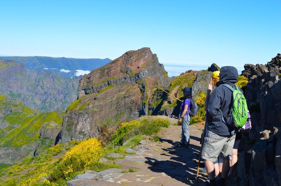 From Funchal: Madeira Peaks Mountain Walk - From Funchal to Madeira’s high mountains