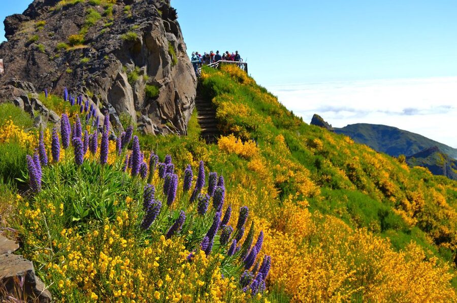 From Funchal: Madeira Peaks Mountain Walk - Weather changes are part of the deal