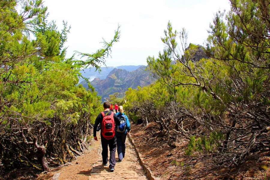 From Funchal: Madeira Peaks Mountain Walk - What to pack for the eight-hour day