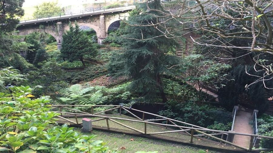 From Funchal: Nuns Valley, Monte and Sleigh Ride Tour - Why the Monte toboggan is the right way to begin