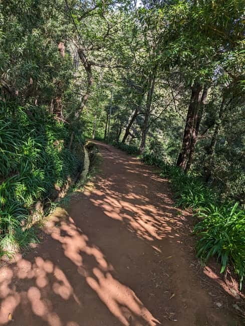 From Funchal: Pico Arieiro Sunrise with Optional Breakfast - Pickup, group size, and guides