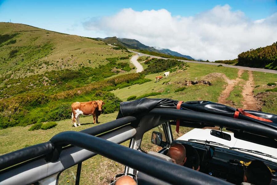 From Funchal: Porto Moniz and Seixal Day Tour by Jeep - What the jeep ride is really like