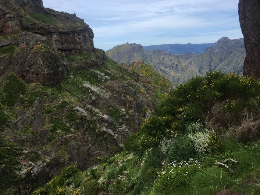 From Funchal: Santana and Pico do Areeiro East Island Tour - Ribeiro Frio and the laurel forest