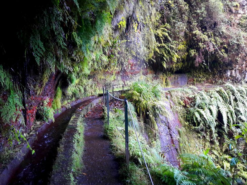 From Funchal: São Jorge Valleys Levada Walk - Practical booking advice for the $50 price