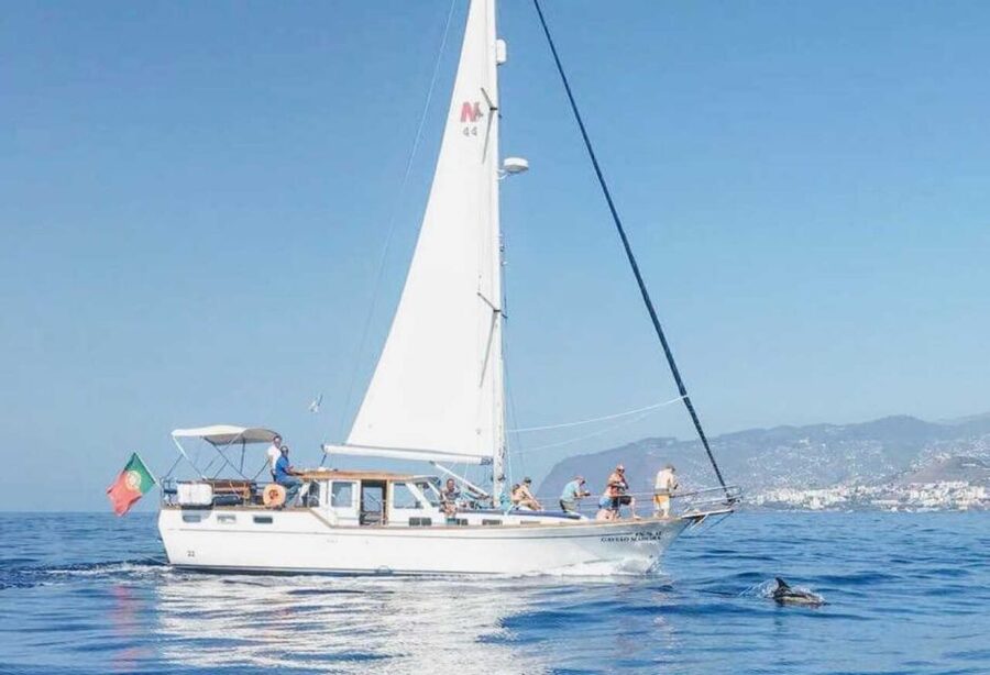 From Funchal: West Bays Sailing Tour with Lunch - Watching for dolphins, whales, and sea turtles