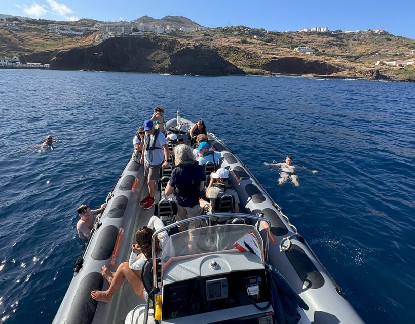 From Funchal: Whale and Dolphin Watching - Practical preparation for the meeting point