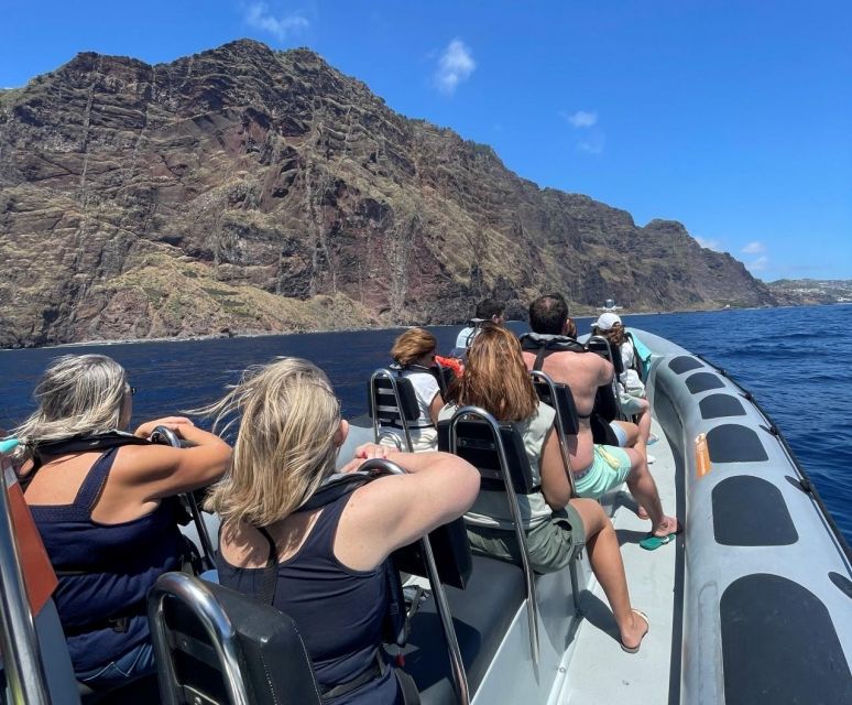 From Funchal: Whale and Dolphin Watching - What you might see in the open sea