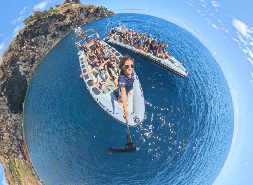 From Funchal: Whale and Dolphin Watching - The ride can be wet, fast, and rough
