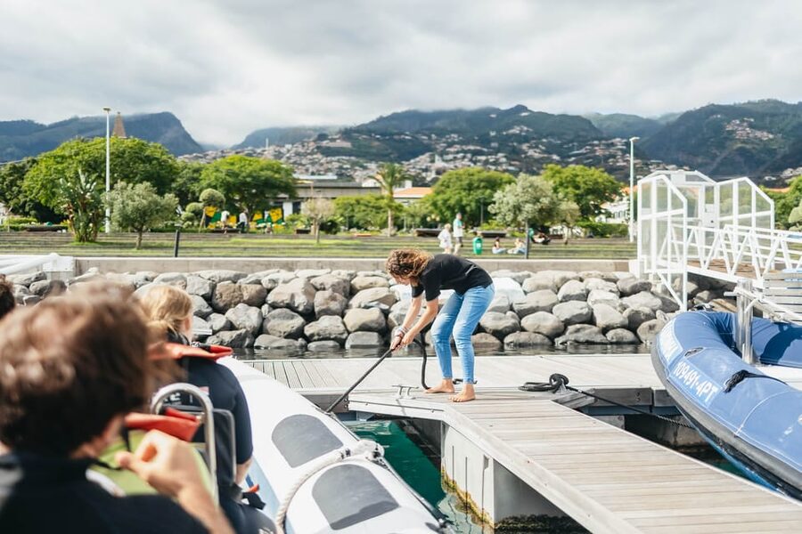 From Funchal: Whales and Dolphin Adventure Tour - A fast, close look at Madeira’s open sea
