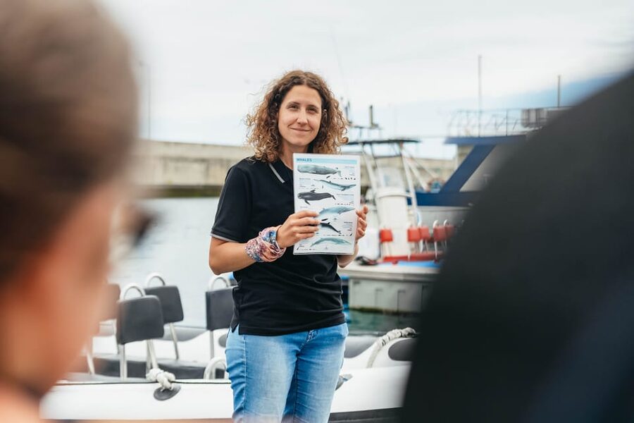 From Funchal: Whales and Dolphin Adventure Tour - How the price compares at $58